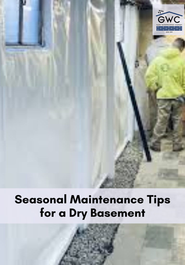 Seasonal Maintenance Tips for a Dry Basement | Garg Water Proofing